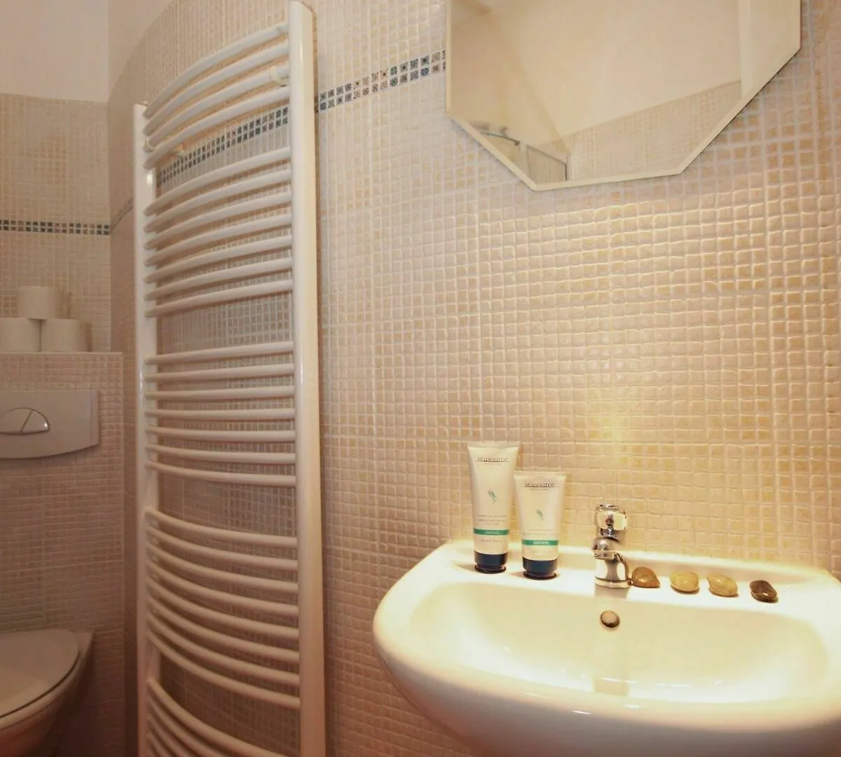 V Lesicku Residence Prague